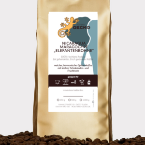 Nicaragua Maragogype "Elefantenbohne"